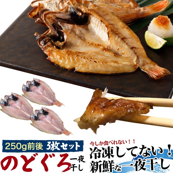 冷蔵でお届け 3枚セット のどぐろ一夜干しノーフローズン 約250g前後 お取り寄せグルメ 海鮮 あかむつ のどぐろ 干物 詰め合わせ 内祝い 贈り物 贈答 食べ物 御礼 土産 味覚 季節 父母祖父母 お祝い 贈答 ギフト 褒美 節句 贅沢 内祝い 誕生日 還暦 熨斗 送料無料