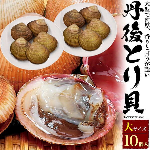 送料無料 丹後 とり貝 京都府産 10個セット サイズ150 169g トリガイ 鳥ガイ とりがい 鳥貝 殻付き 刺身 茹で 蒸し 焼き あぶり 炙り 寿司 鮨 贈答 食べ物 土産 味覚 誕生日 母の日 父の日 内祝い 飲食店 店舗 和食 割烹 料亭