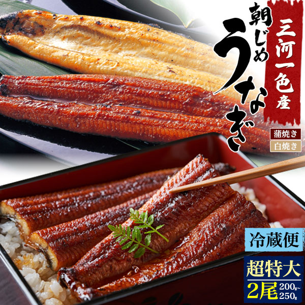 朝じめ うなぎ 愛知県 2尾セット( 200～250g ) 冷蔵 蒲焼き 白焼き 父の日ギフト 国産 うなぎ ウナギ 鰻 かば焼き タレ山椒 ひつまぶし 鰻巻 うな丼 内祝 贈り物 ギフト 祝 結婚 誕生日 褒美 大人 祖父母 還暦 国産 夏バテ 父の日 直3【送料無料】｜輸入雑貨・アクセサリーの店プラタ