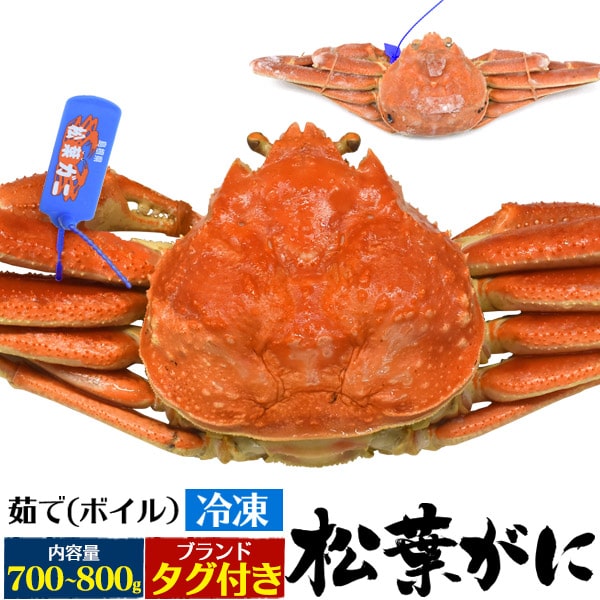 タグ付き【茹で冷凍松葉ガニ 700g～800g 松葉ガニ(ズワイガニ)】 松葉かに 産地証明 山陰 産地水揚げ ズワイガニ マツバガニ カニ 蟹 かに 食物 かにすき 鍋 焼き蟹 雑炊 【送料無料】冷凍 直送w■1杯・2杯