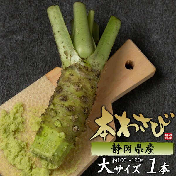 1kg 安曇野市産 本生 沢わさび 生わさび 山葵 ワサビ WASABI 楽天市場】本わさび わさび 静岡県産 生 約100g〜120g 1本 2本 3