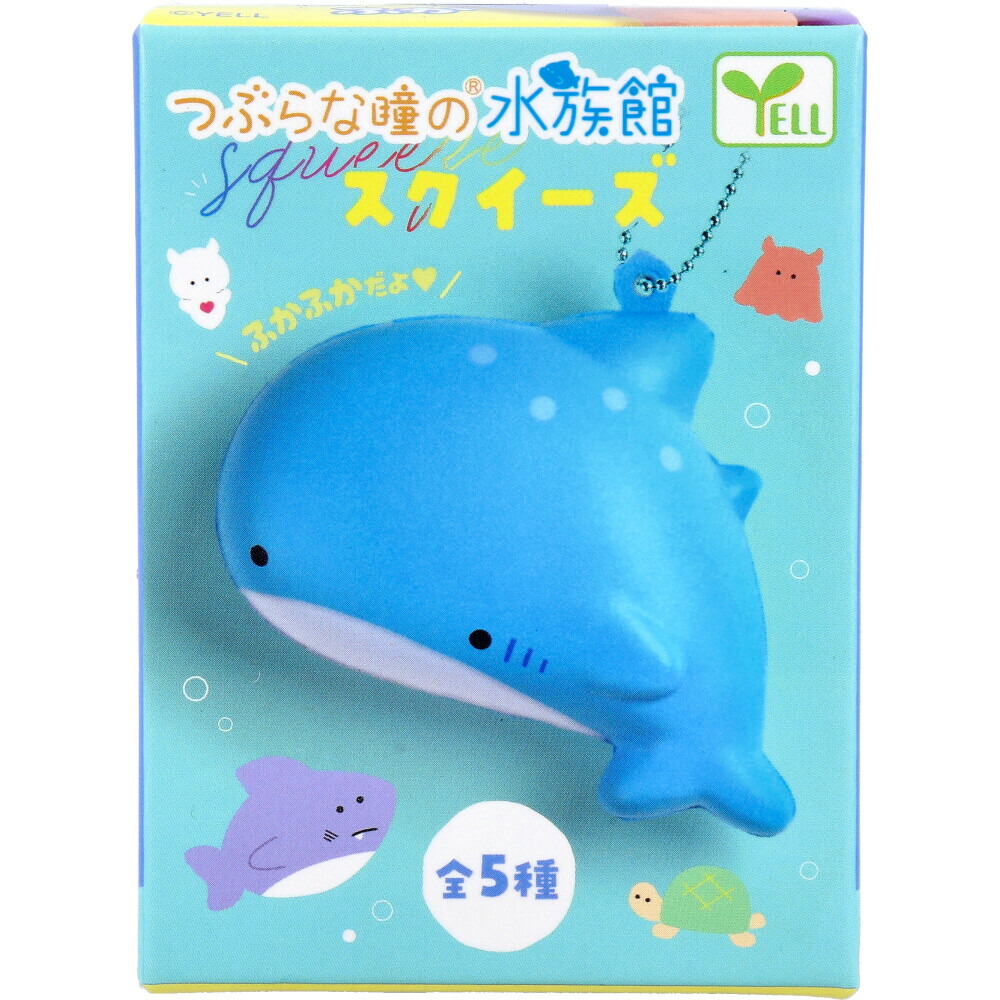 スクイーズ一族参上様⋆͛*͛ ͙͛⋆͛ᐝ·̩͙オーダー品☽︎‪︎.*·̩͙‬ 楽天市場】つぶらな瞳の水族館 スクイーズ その1 【全5種セット】 : A