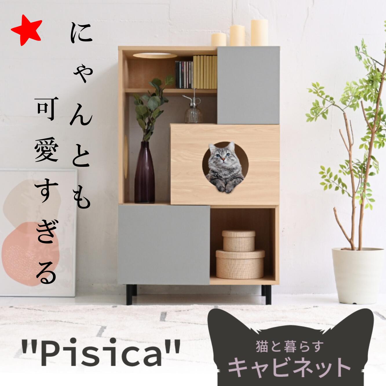 楽天市場】【豪華特典2個付き】猫 トイレ収納 キャットウォーク
