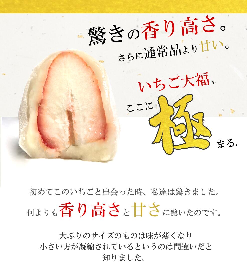 【送料無料】フルーツ大福KAJITSUDO練乳いちご極6個セット果実堂群馬県太田市大福フルーツ大粒いちご苺イチゴ群馬県産大玉やよいひめ大粒練乳プレゼントギフトアイス和菓子お菓子お取り寄せ大福スイーツ御歳暮御年賀御中元敬老の日ギフト