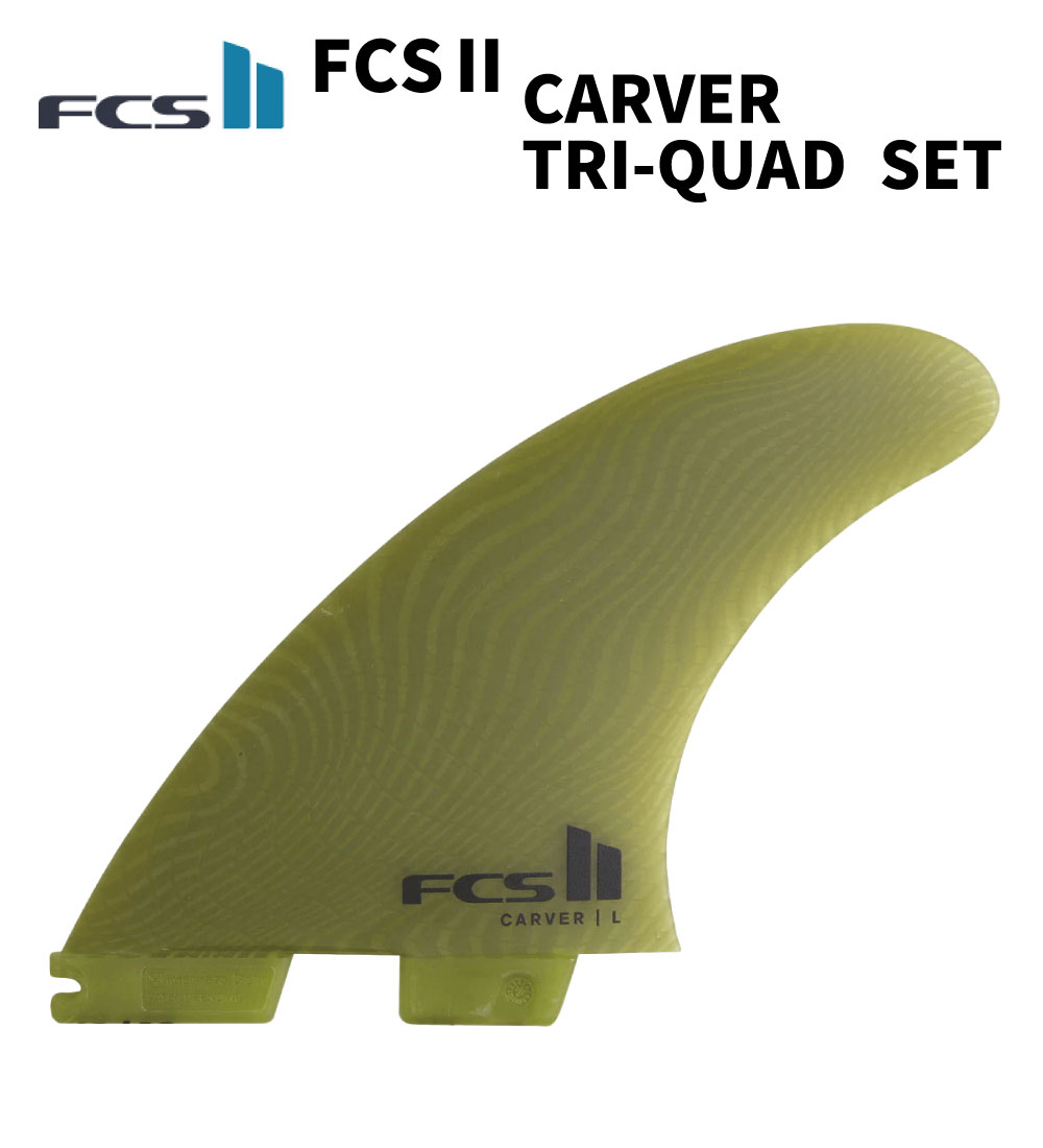 fcs2carver5fineuca1.jpg