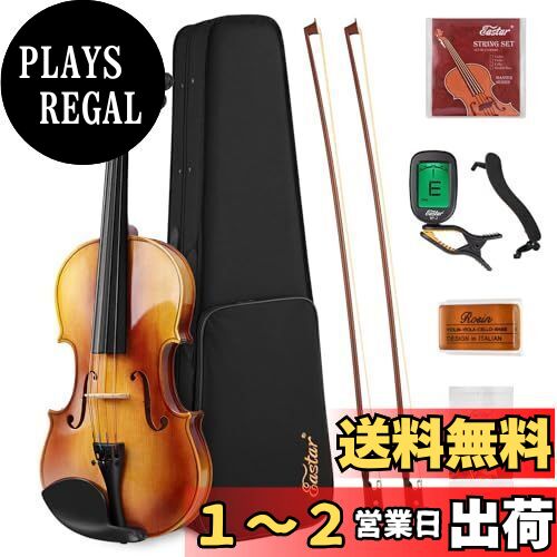 Easter Violin バイオリン本体4/4 Amazon.com: Eastar 4/4 Violin Set Full Size Fiddle Solidwood