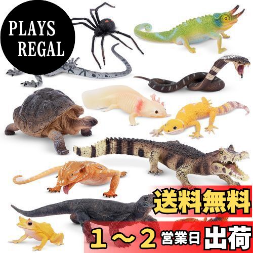 新品未開封　カロラータ　エンデンジャード・アニマルズ・ボックス　フィギュア 動物 生物 立体図鑑 レプタイルボックス / カロラータ