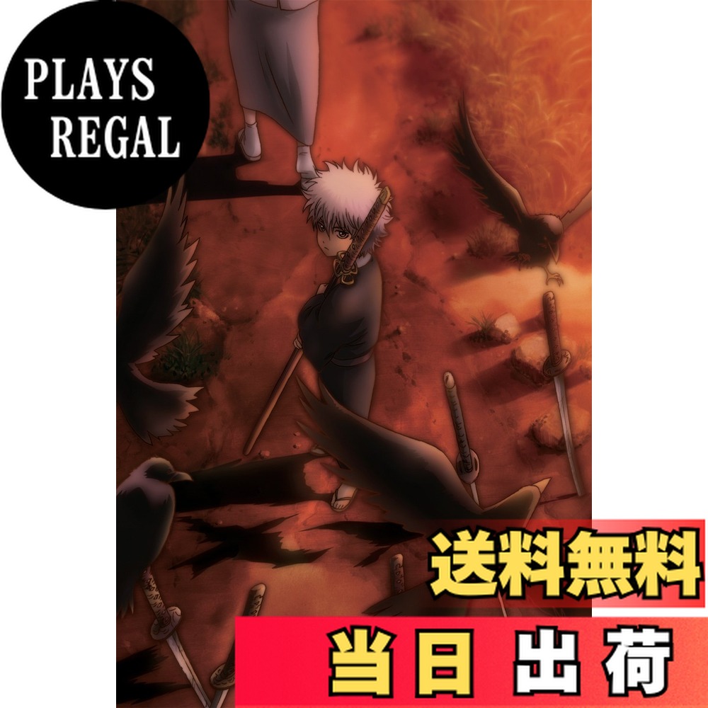 【送料無料】銀魂 シーズン其ノ四 8 [DVD]画像