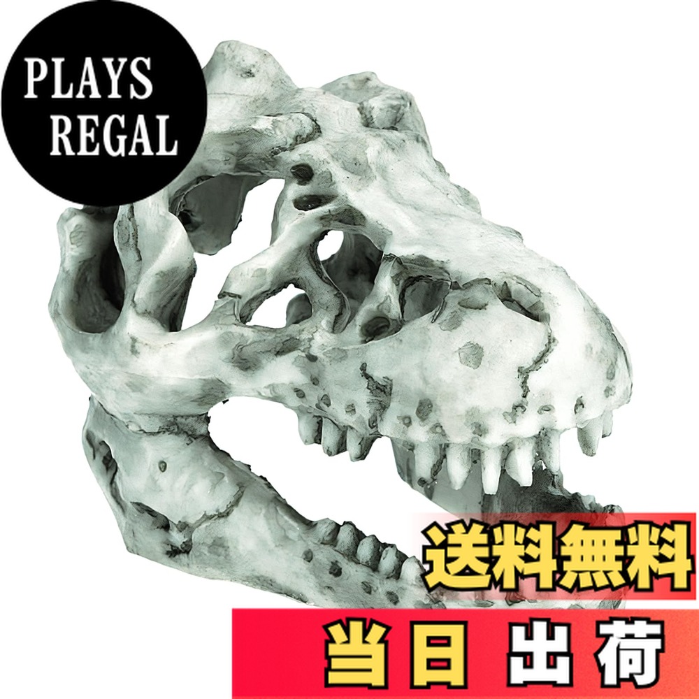 楽天市場】水族館テラリウム水槽恐竜スカルボーンレジンオーナメント