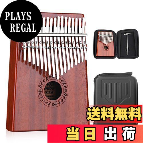 【在庫残り2台！】Kalimba Go カリンバゴー　17キー ナビゲーション付 指先で奏でる癒しの音楽、初心者も気軽に始められるアシスト付