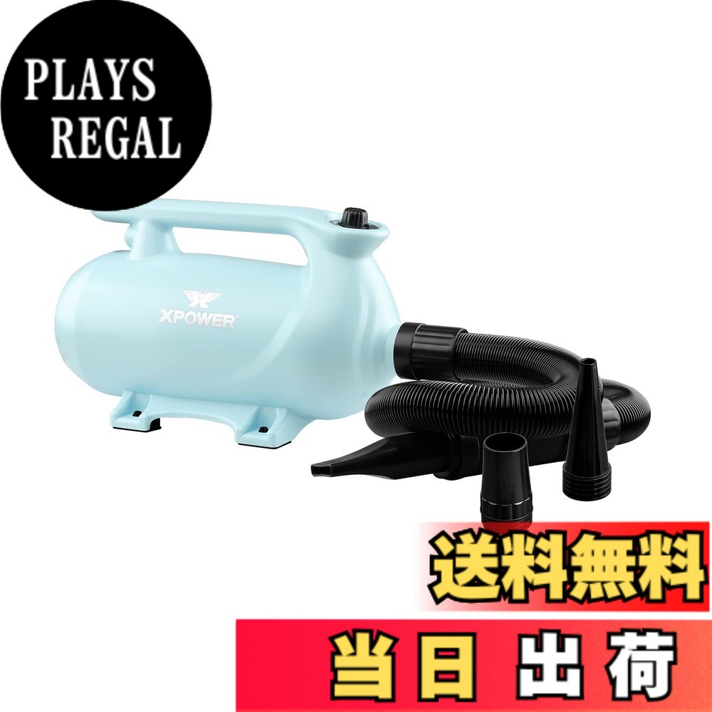【貨物輸送無料】XPower B-163 愛玩動物ドライヤー 低耳障りな音 二座標軸合わせる能力のあるな熱備え付ける 参のノズル付き添い人 持ちはこび用愛玩動物用ドライヤー 3色オプション 色：青碧