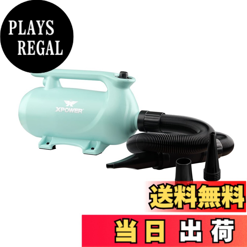 【貨物輸送無料】XPower B-163 愛玩動物ドライヤー 低耳障りな音 二座標軸合わせる能力のあるな熱備え付ける 参のノズル付き添い人 持ちはこび用愛玩動物用ドライヤー 3色オプション 色：緑であること