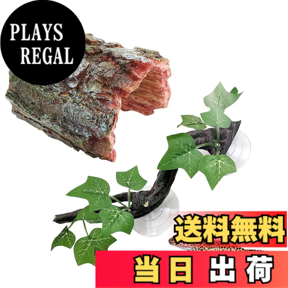 楽天市場】Archnote 爬虫類 シェルター レオパ トカゲ カナヘビ ヤモリ