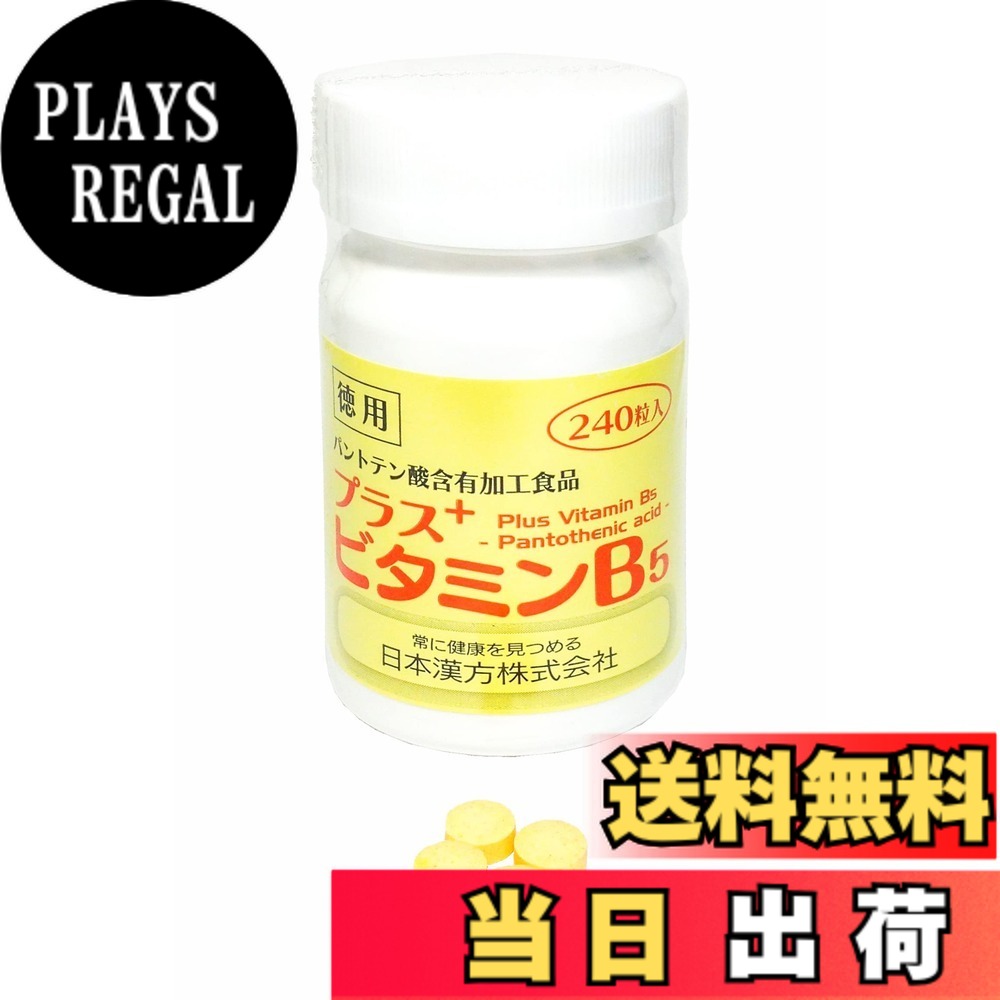 【送料無料】日本漢方 プラスビタミンB5 徳用 240粒入 サイズ:240個 (x 1)