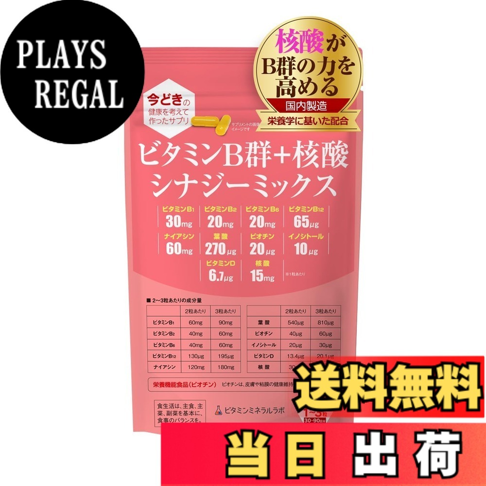【送料無料】ビタミンB群+核酸 シナジーミックス サイズ：1袋