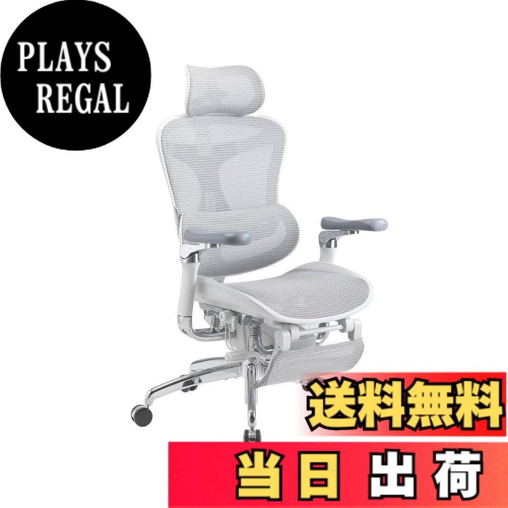 【送料無料】SIHOO Doro C300 オフィスチェア 椅子 デスクチェ 人間工学 チェア 色：グレー、サイズ：C500-JT
