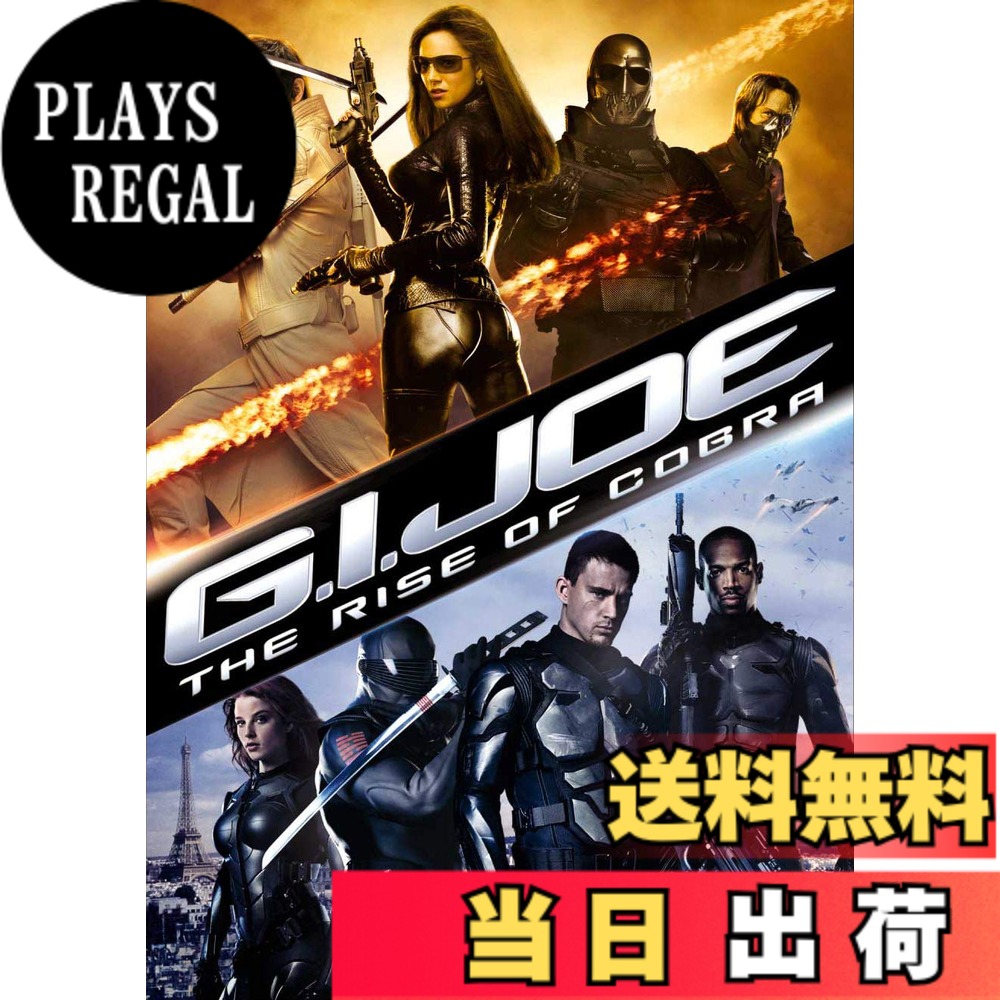 【送料無料】G.I.ジョー [DVD]画像