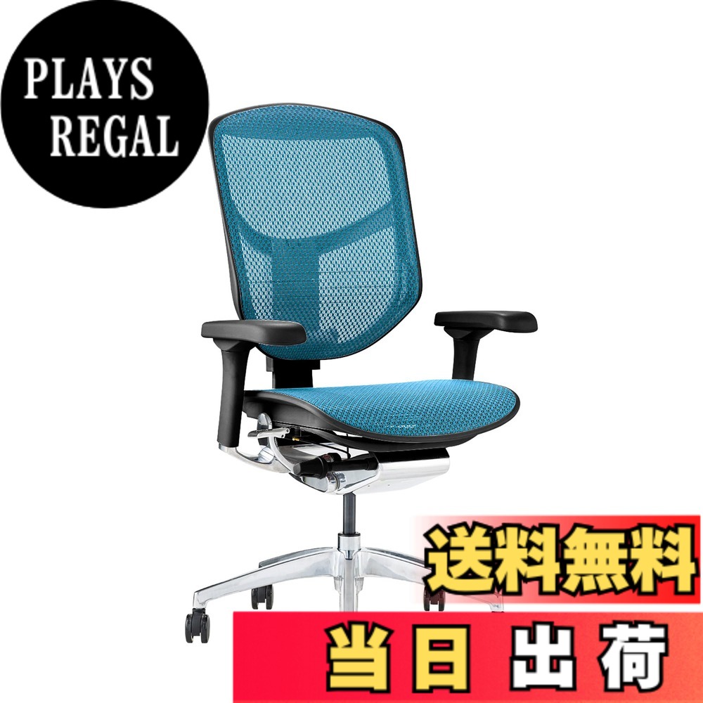 【送料無料】エルゴヒューマン2(ergohuman2) オフィスチェア ENJOY エンジョイ 色：メッシュ:ブルー / フレーム:ブラック、サイズ：ロータイプ