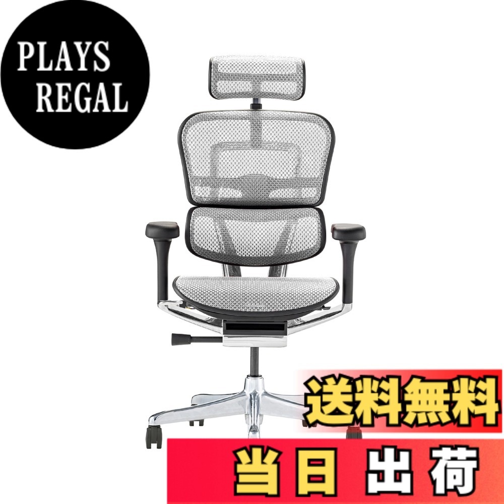 【送料無料】エルゴヒューマン2(Ergohuman2) オフィスチェア 色：フレーム:BLACK / メッシュ:WHITE、サイズ：ハイタイプ