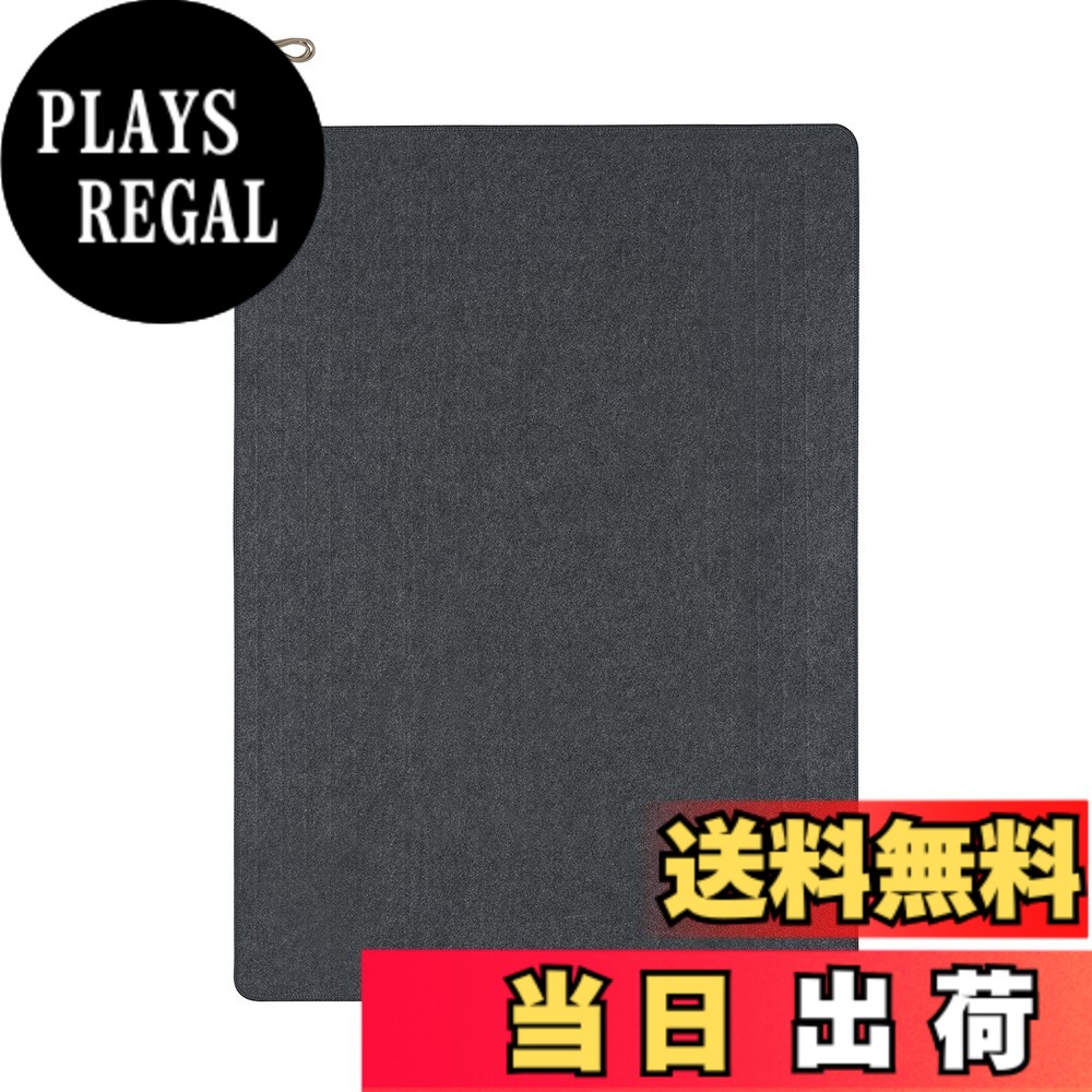【貨物輸送無料】パナソニック 熱っぽい引っ敷き 暖房器本体 DC-NK 色：薄墨色、大いさ：1.5畳