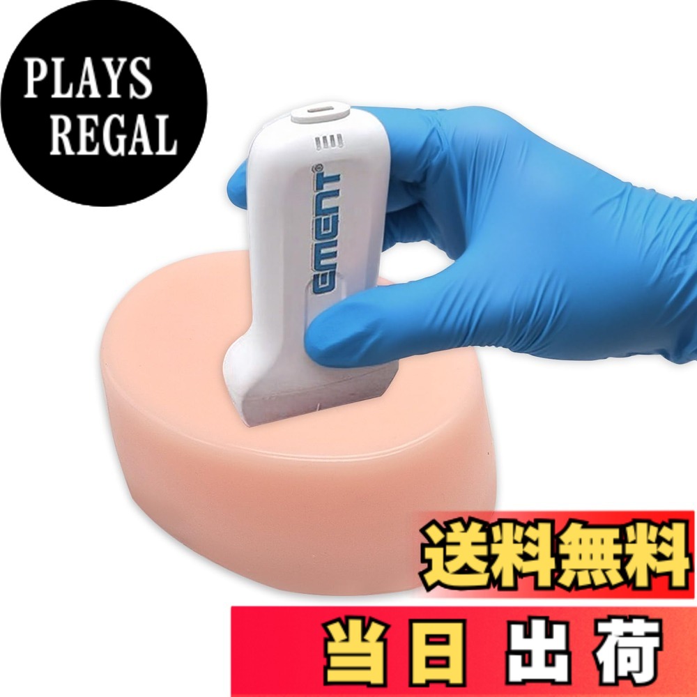 【送料無料】超音波穿刺モデル 色：スキンカラー