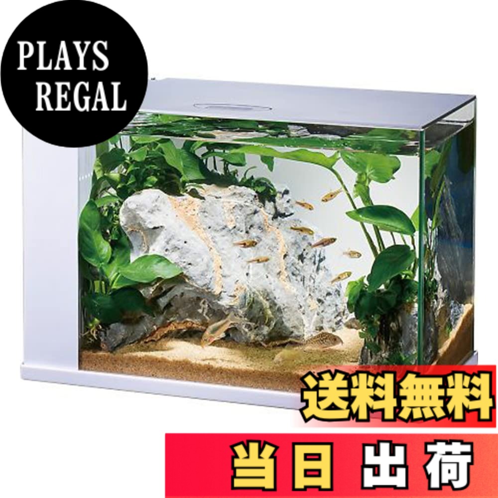【貨物輸送無料】GEX AQUARIUM ラクテリア 水取り替えっこ飾り気の無い海洋博物館 水漉し・LED付き添い人 W34xD17.5xH24珊白いこと