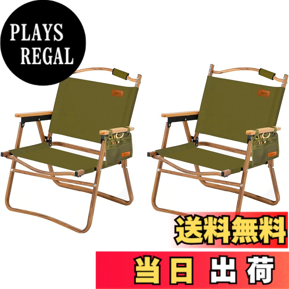【送料無料】DesertFox アウトドア チェア キャンプ チェア 軽量 2個セット 折りたたみ 椅子 【耐荷重150kg】 四季適用 コンパクト軽量 携帯便利 イス ピクニック キャンプ用 DY001 (みどり，スタイルA)