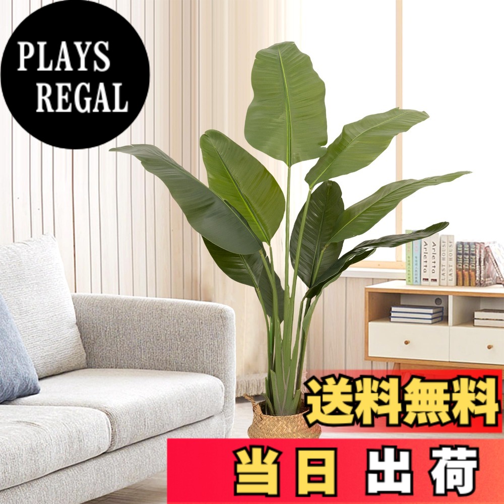 【送料無料】ybaymy 人工観葉植物 色:グリーン|PLAYS REGAL