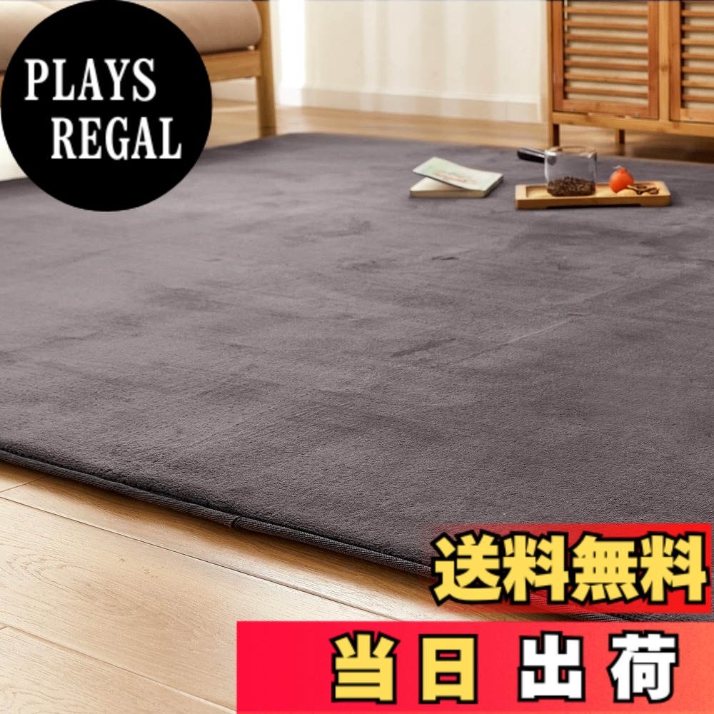 【送料無料】VK Ingeroom カーペット ラグ 極厚25mm 厚手 ラグマット 防音 滑り止め付 抗菌 防臭 防ダニ 低ホルム ふわっと手触り高反発 オールシーズン快適 床暖房ホットカーペット対応 低反発と同じ厚み ゆか保護 冬用 北欧 おし 色：ダークグレー、サイズ：200x250cm｜PLAYS REGAL