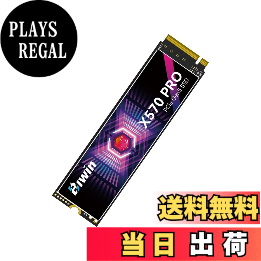 【送料無料】BIWIN Black Opal M.2 SSD 高速 サイズ:8TB|PLAYS REGAL