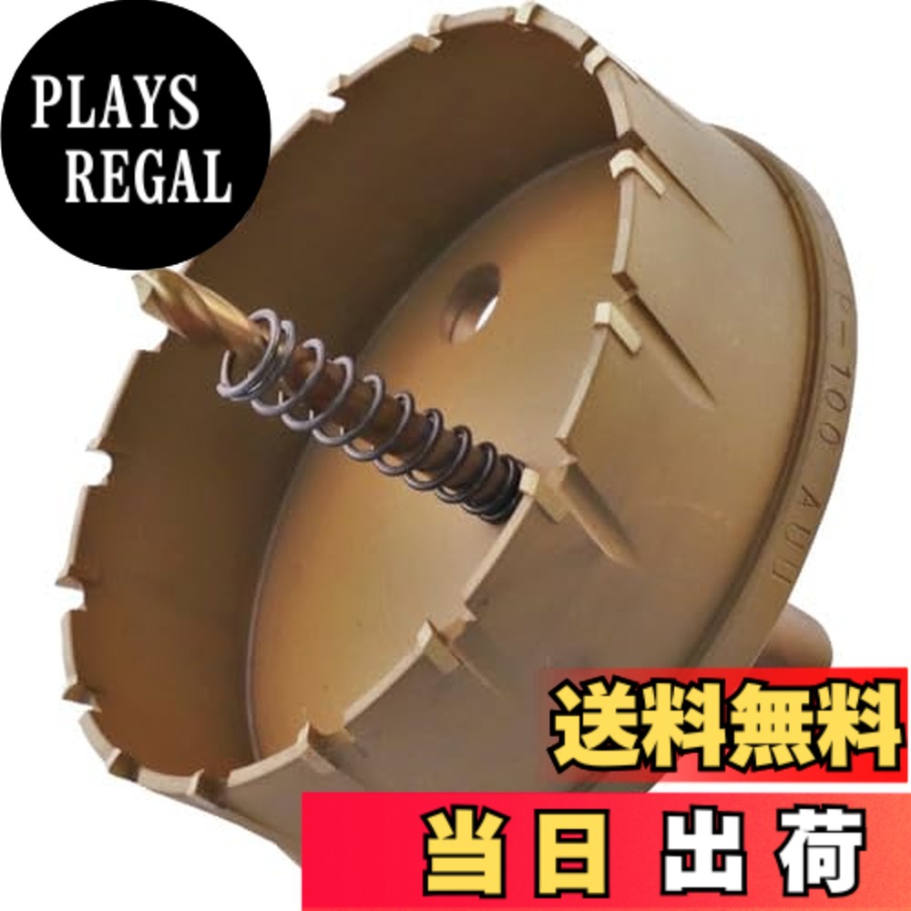 【送料無料】エビ 超硬ホルソー サイズ：刃径(mm):100｜PLAYS REGAL