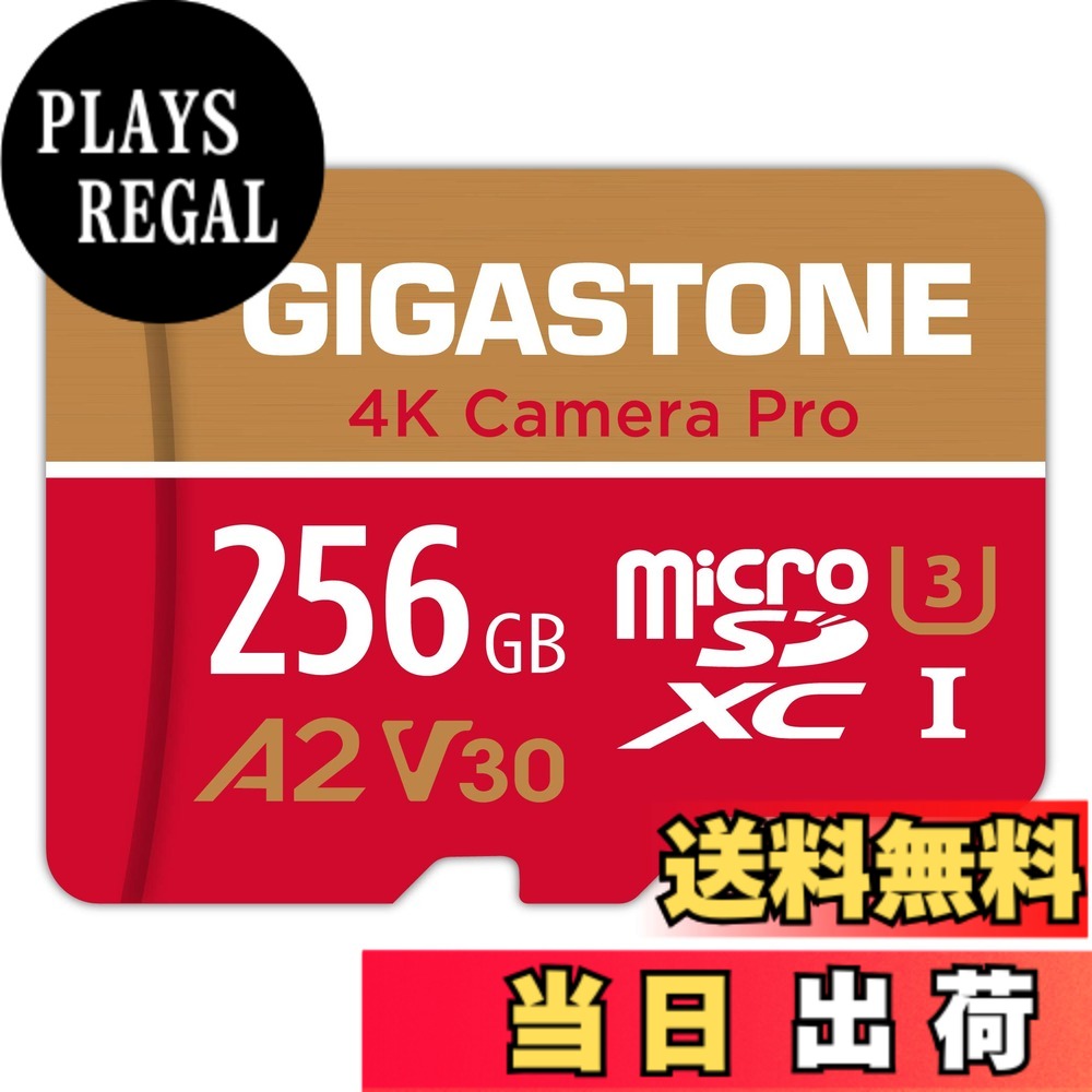 【貨物輸送無料】GIGASTONE マイクロsd歌留多 256-4-1 Core Group 色：256GB Camera Pro 1枚仕掛ける、大きさ：CAMERA PRO