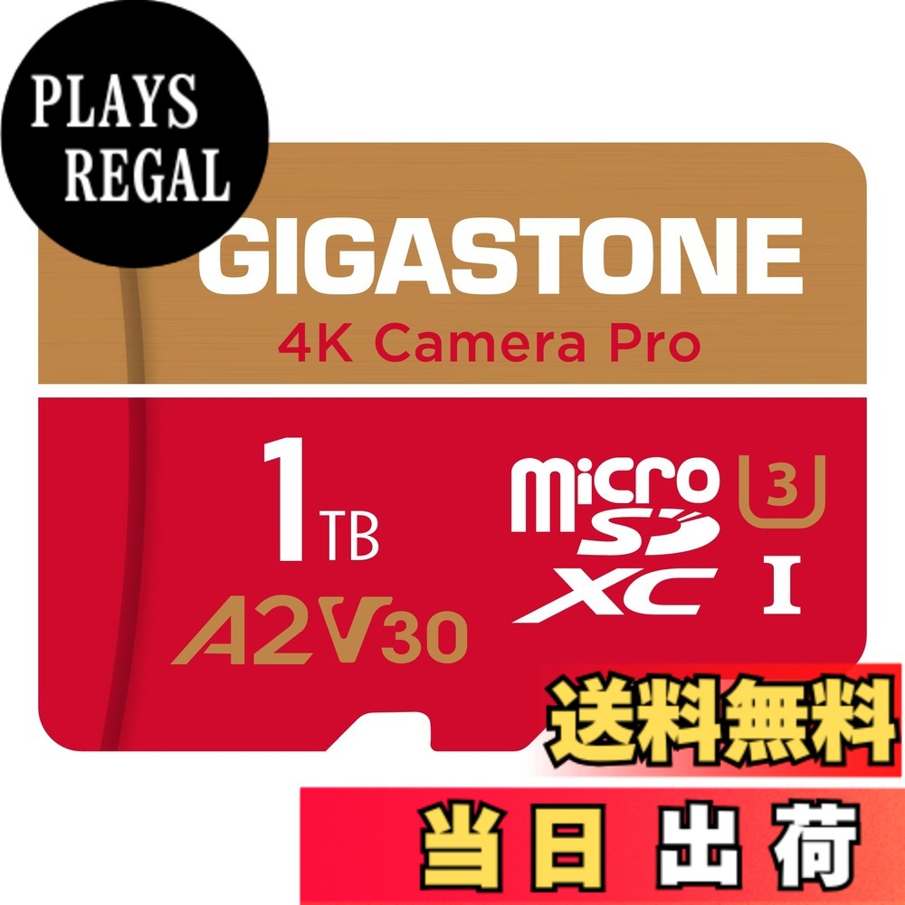 【貨物輸送無料】GIGASTONE マイクロsd歌留多 1結核症-4-1 Core Group 色：1結核症 Camera Pro 1枚仕掛ける、大きさ：Pro Series