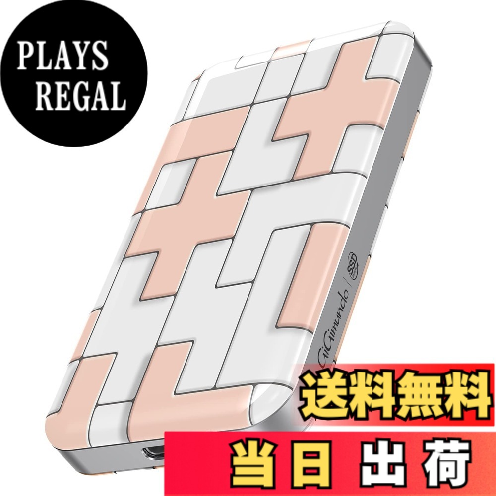 【送料無料】GiGimundo ポータブル外付けSSD 色：40Gbps 2T｜PLAYS REGAL