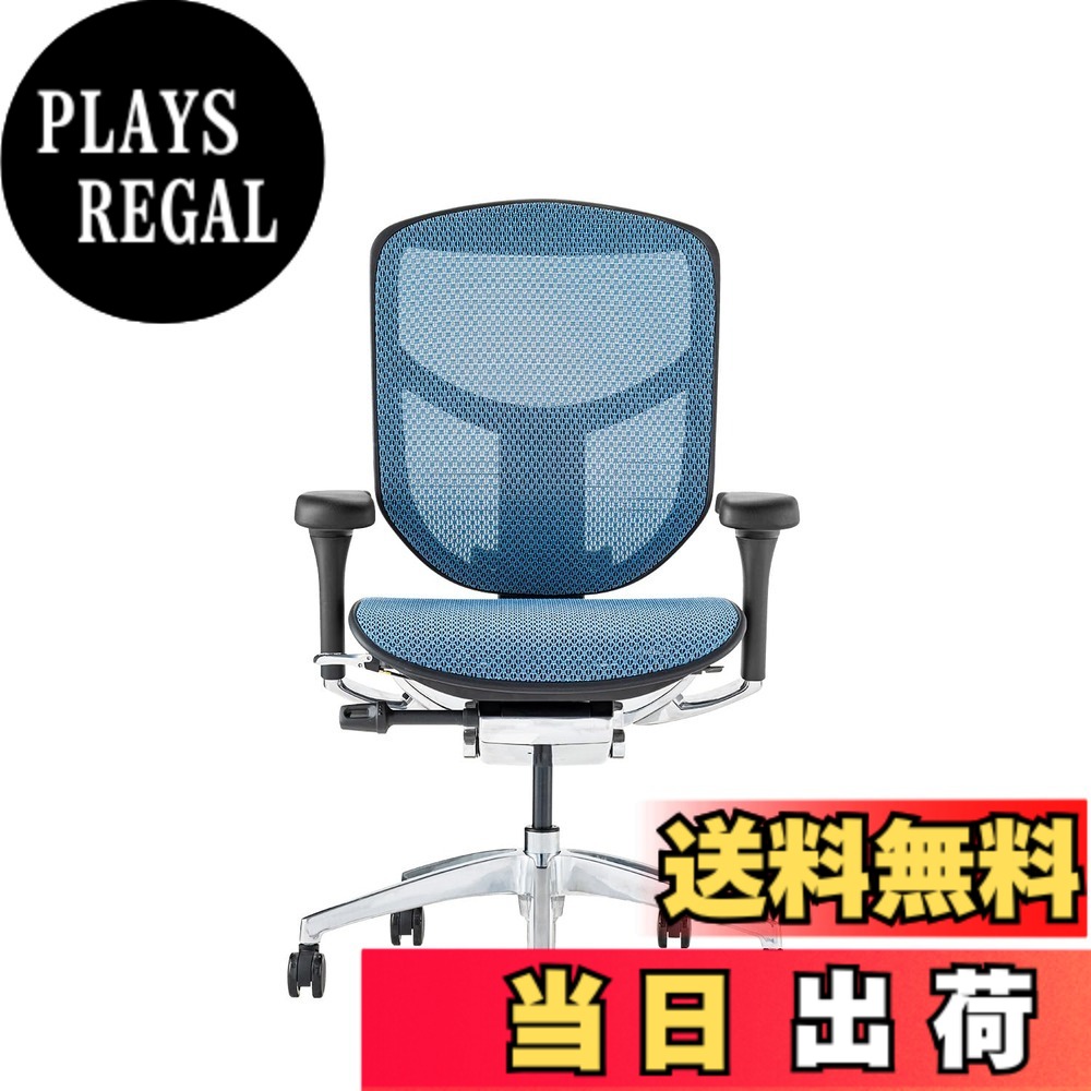 【送料無料】エルゴヒューマン2(ergohuman2) オフィスチェア ENJOY エンジョイ 色：メッシュ:ブルー / フレーム:ブラック、サイズ：ロータイプ｜PLAYS REGAL 57,892円