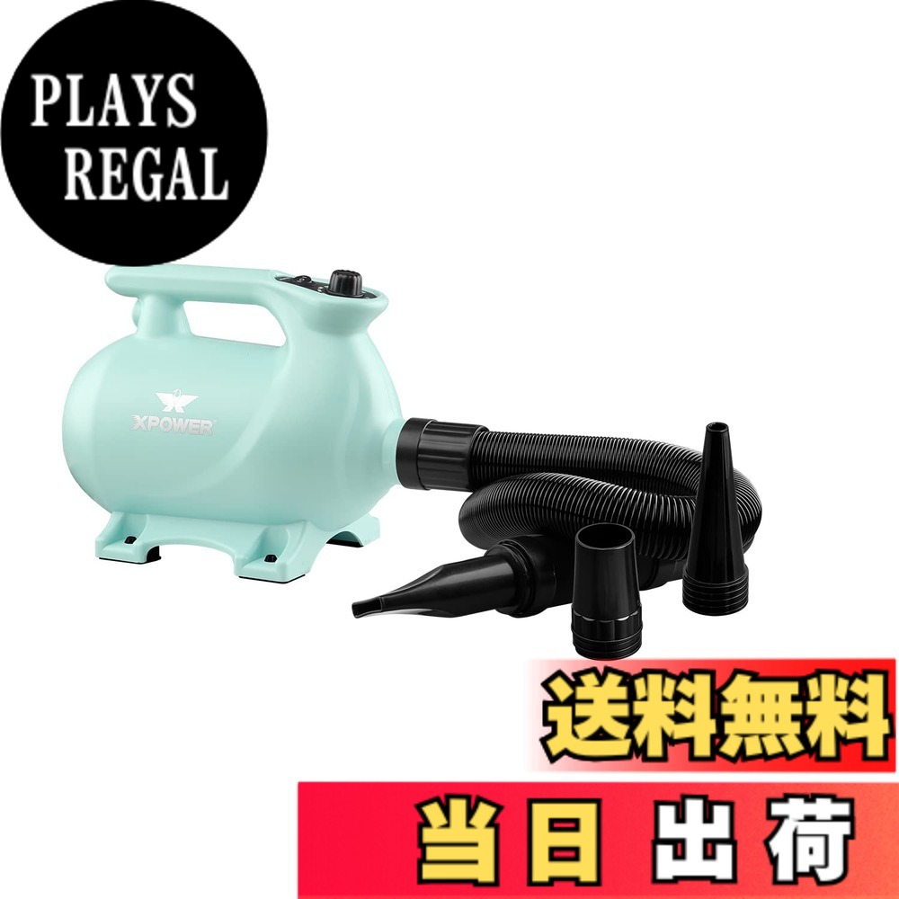 【送料無料】XPOWER B-123 静音・可変速・2 段階温度設定 ペットドライヤー 3 種ノズル付き コンパクト収納 色：グリーン｜PLAYS REGAL