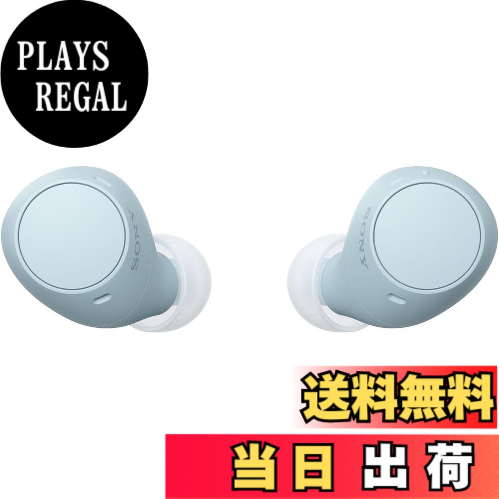 【送料無料】ソニー(SONY) 完全ワイヤレスイヤホン WF-C500/WF-C510 :/高精度通話品質/IPX4防滴性能 色：ブルー、サイズ：小型軽量｜PLAYS REGAL