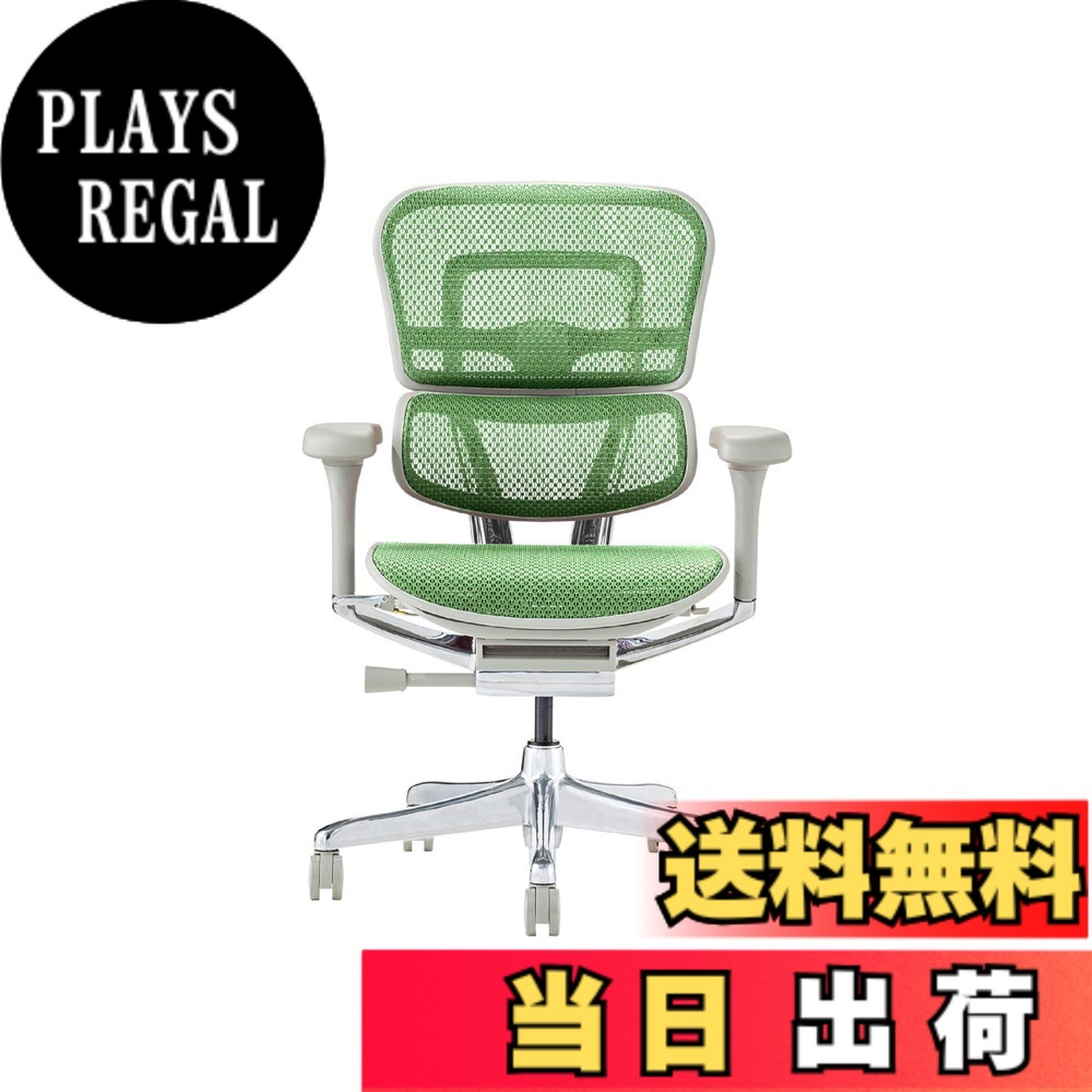 【送料無料】エルゴヒューマン2(Ergohuman2) オフィスチェア 色：フレーム:GRAY / メッシュ:GREEN、サイズ：ロータイプ｜PLAYS REGAL