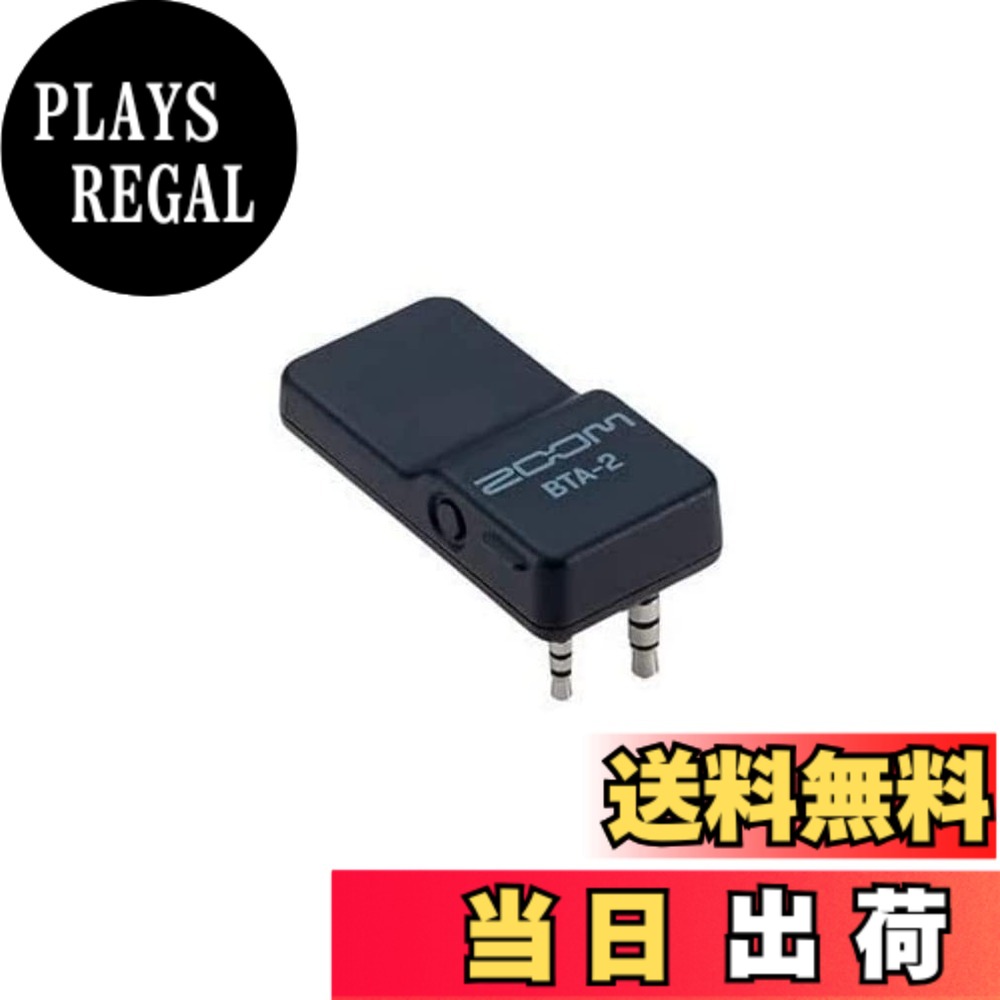 【送料無料】バッテリー NETWORK_INTERFACE_CONTROLLER_ADAPTER 色：ブラック｜PLAYS REGAL
