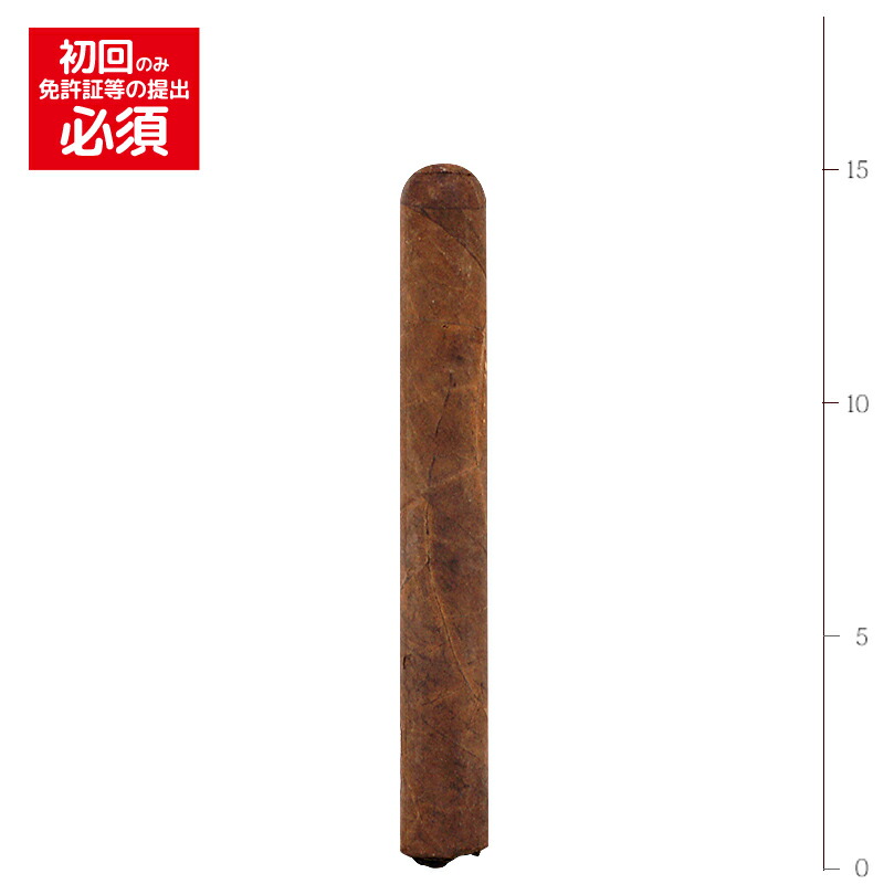 【プレミアムシガー】【バンドル】【２５本入り】<BR>　ファブリカ5　ヌード　N6　カニョナーソ<BR>　≪52RG／150mm≫　[トロサイズ系]　（強さ：●●●〇〇）〔タバナカ輸入〕