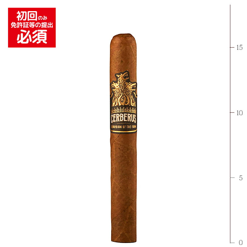 楽天市場】【プレミアムシガー】（バラ売り） アガノルサリーフ