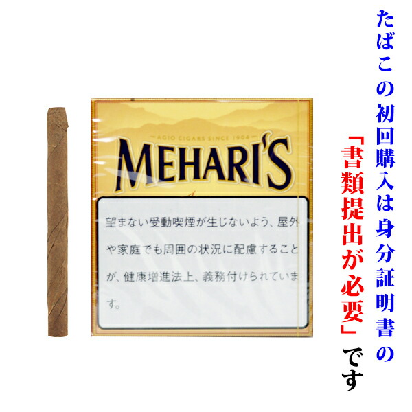 奥田若菜先生が『ジカ熱：ブラジル北東部の女性と医師の物語』共