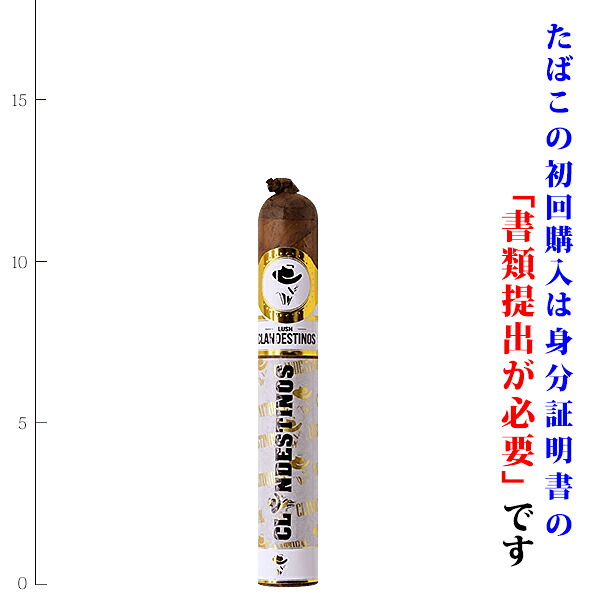 クランデスティノス ラッシュ ベグエロの商品写真