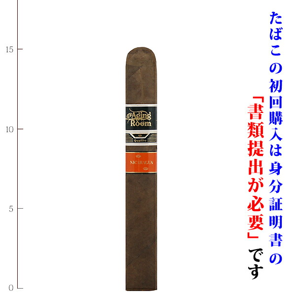 SAHARA】ボタニカル柄ローカットスニーカー｜HAYASHIGO ONLINE