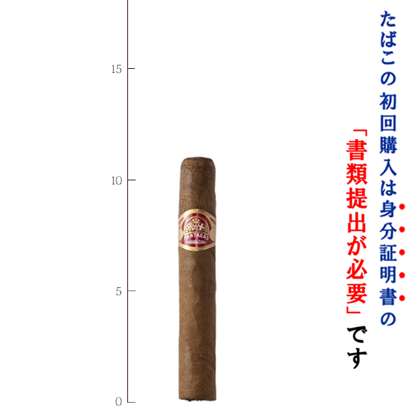 フォレスタ 16冊 バラ売り⭕️まとめ売り⭕️ フォレスタ 16冊 バラ売り⭕️まとめ売り⭕️ THE RAMPAGE