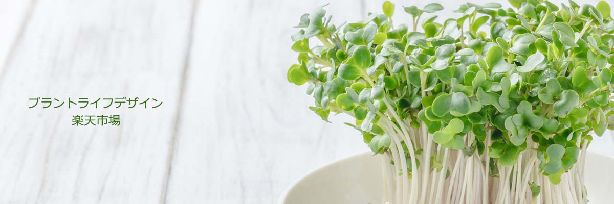 �ץ��ȥ饤�եǥ������ŷ�Ծ�Ź