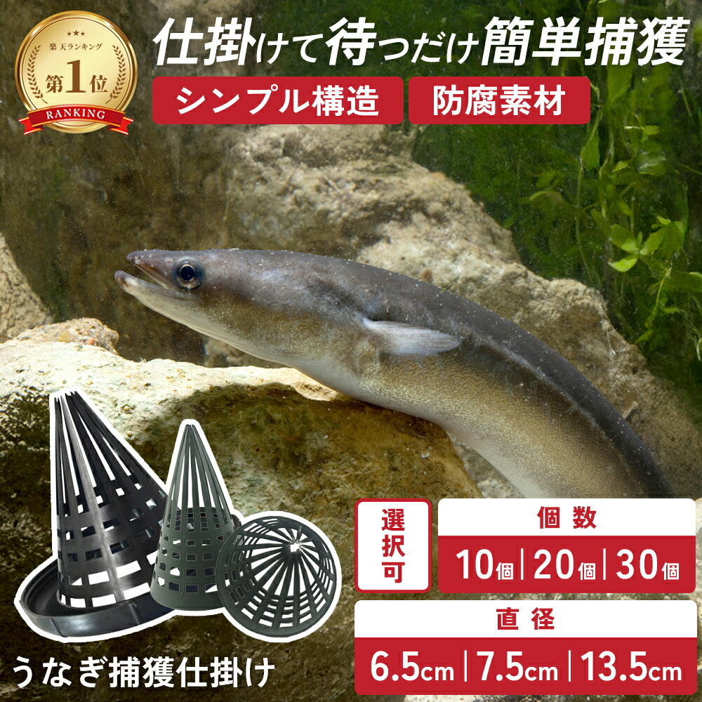 楽天市場】【1位受賞】うなぎ 仕掛け 筒 ウナギ釣り 捕獲 カゴ アナゴ