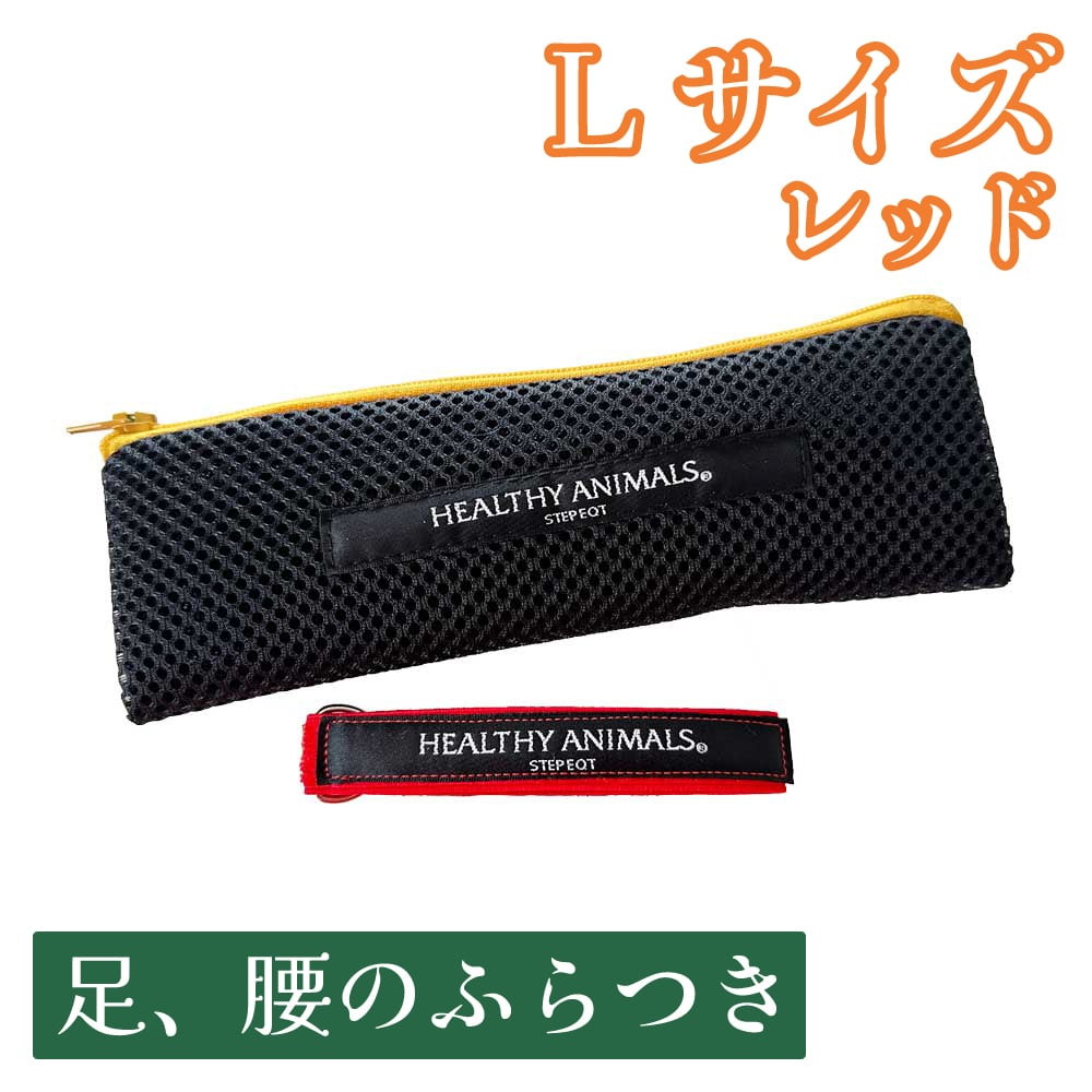 【送料無料】犬 大型犬 獣医師監修 パワーバンド【足、腰のふらつき】L(大型犬用) レッド