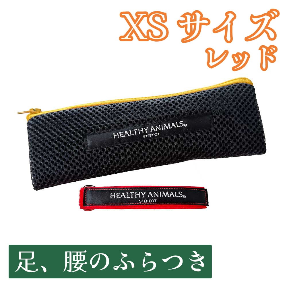 【送料無料】犬 小型犬 獣医師監修 パワーバンド【足、腰のふらつき】XS （小型犬、人女性用）レッド