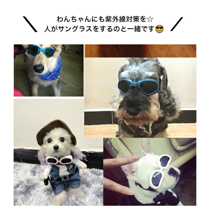 楽天市場 犬用 ゴーグル サングラス Uvカット ペット用品 折り畳みサングラス おしゃれ 犬 小型犬 超小型犬 黄色 イエロー 紫外線防止 かわいい かっこいい ほこりよけ 白内障予防 折りたたみ 軽量 頑丈 ペットグラス ペット ペットグッズ ペットラッキー